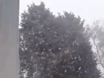 昨天比基尼!今天下雪!英国的天气能有多奇葩?