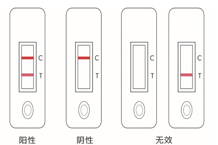 怀孕从哪天可以测出来,怀孕多少天能测得出来