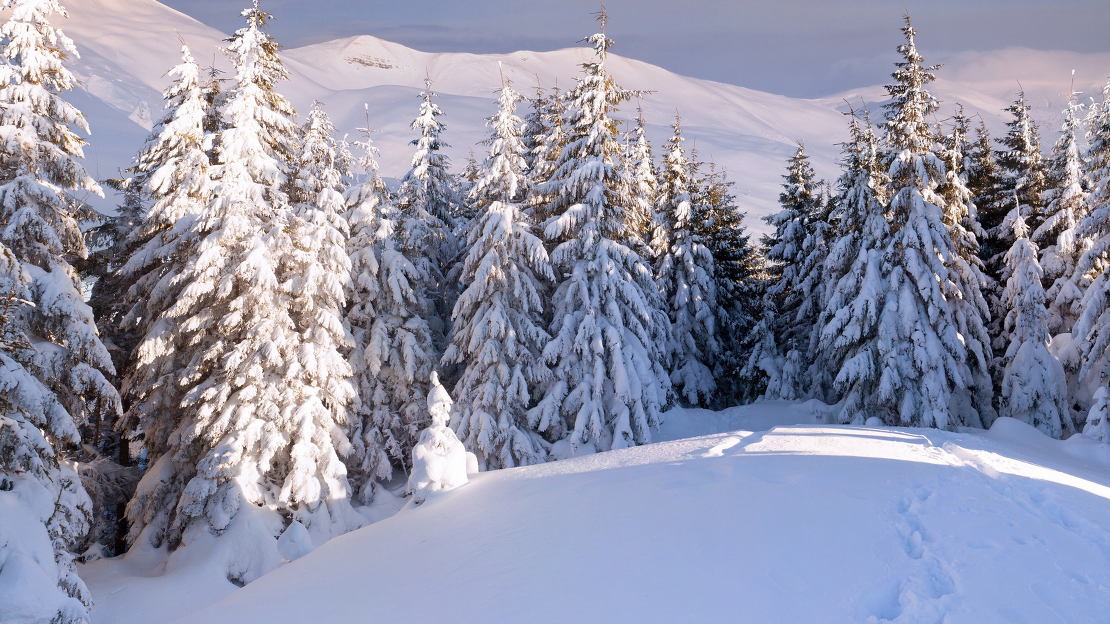 清新护眼的自然风景桌面壁纸,风景壁纸图片大全高清自然风景