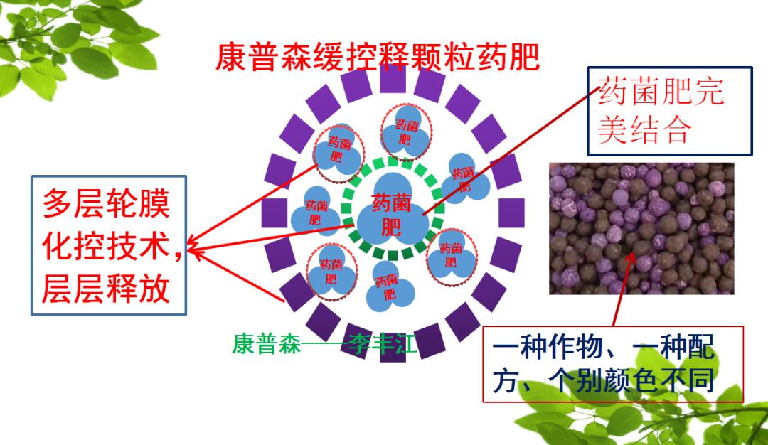 一浇水就没虫!真的吗?智能缓控释颗粒,向您推荐的五大理由