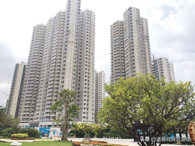 崖州区是房价洼地么,海南省自贸区龙头板块