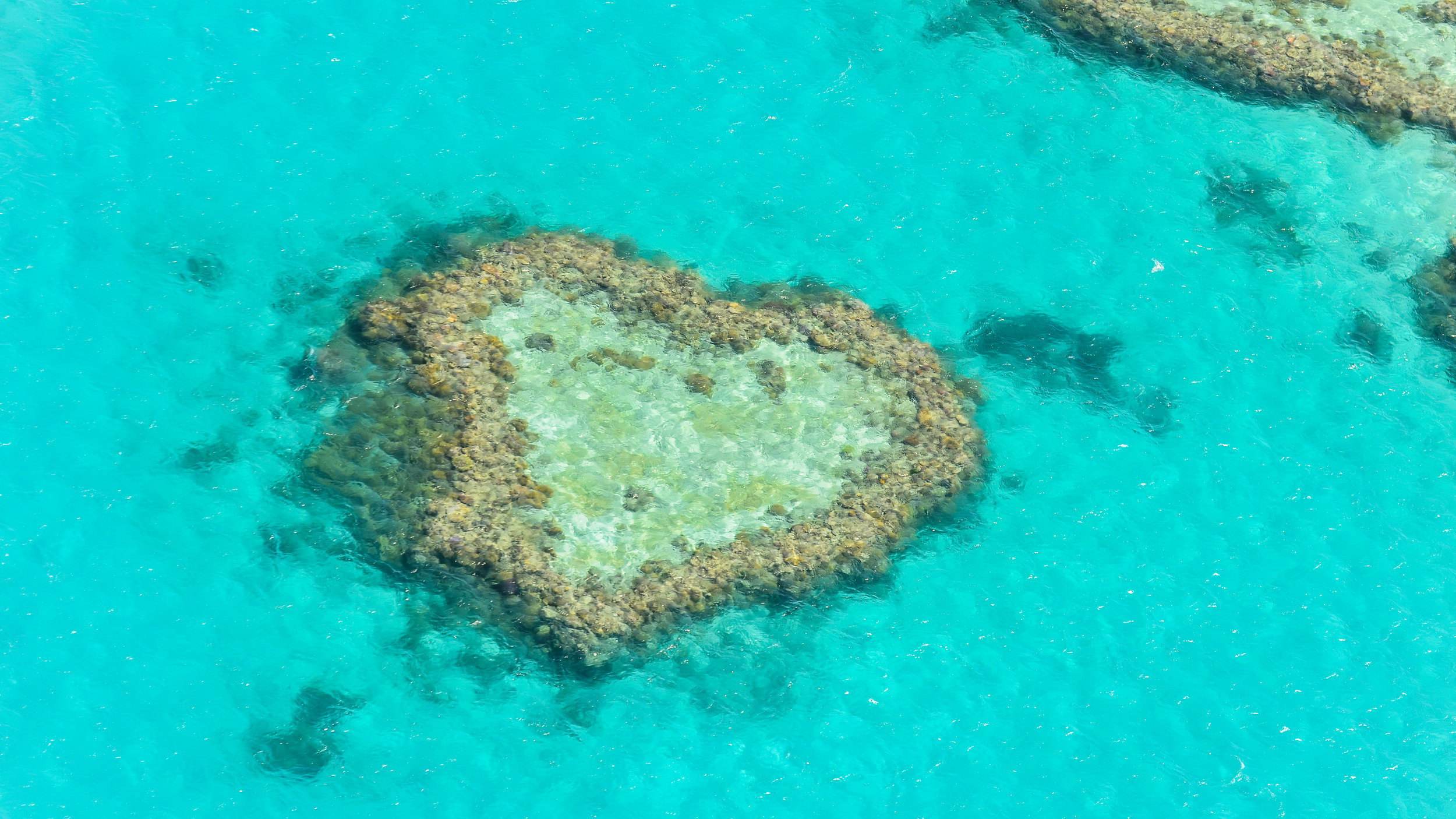 澳大利亚旅游实用贴士,澳大利亚旅游指南文章