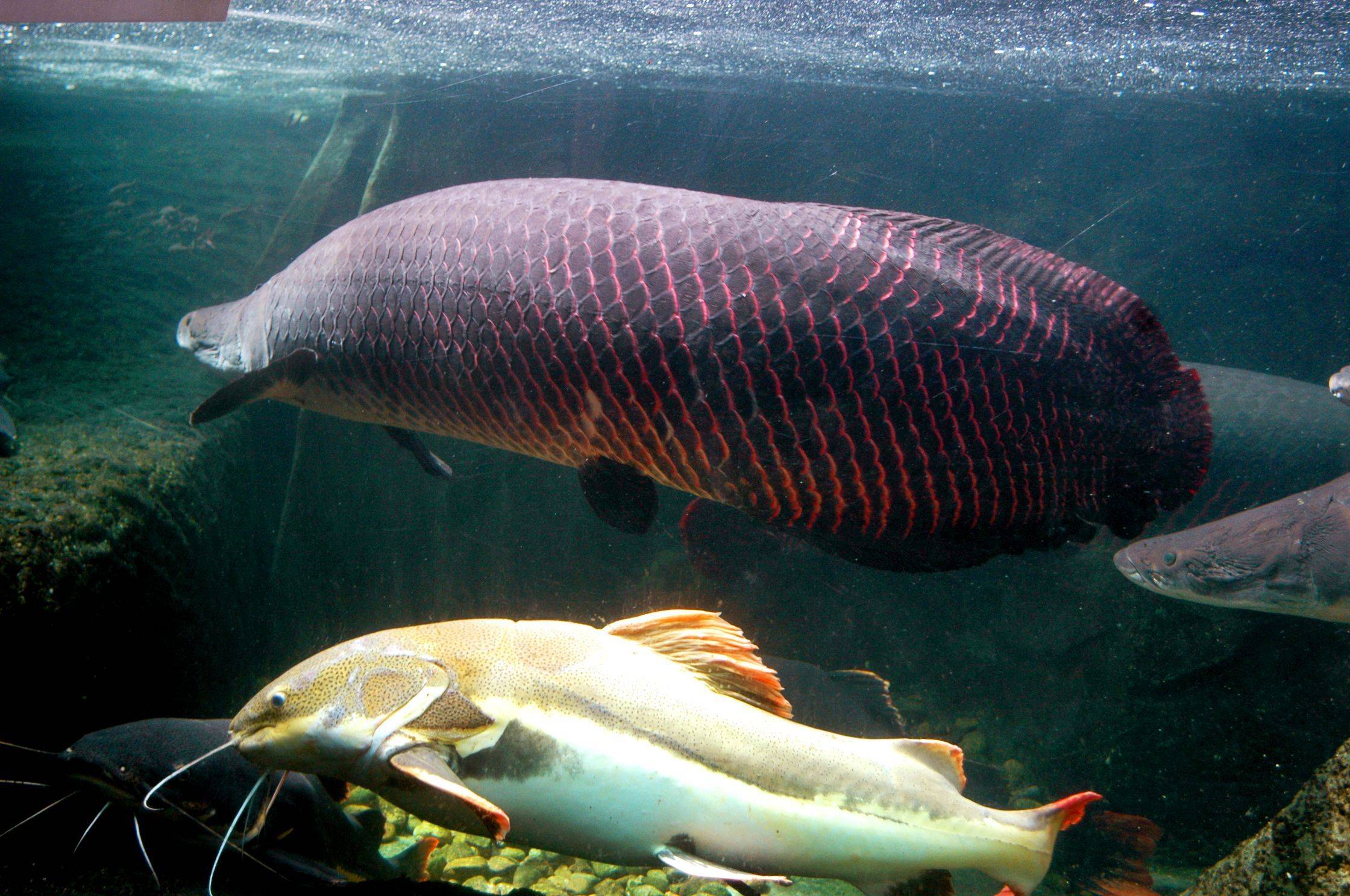 深圳青青世界有什么好玩,深圳青青世界亲子套票