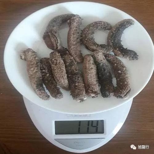 秋风起秋膘贴,秋风起贴秋膘喝羊汤