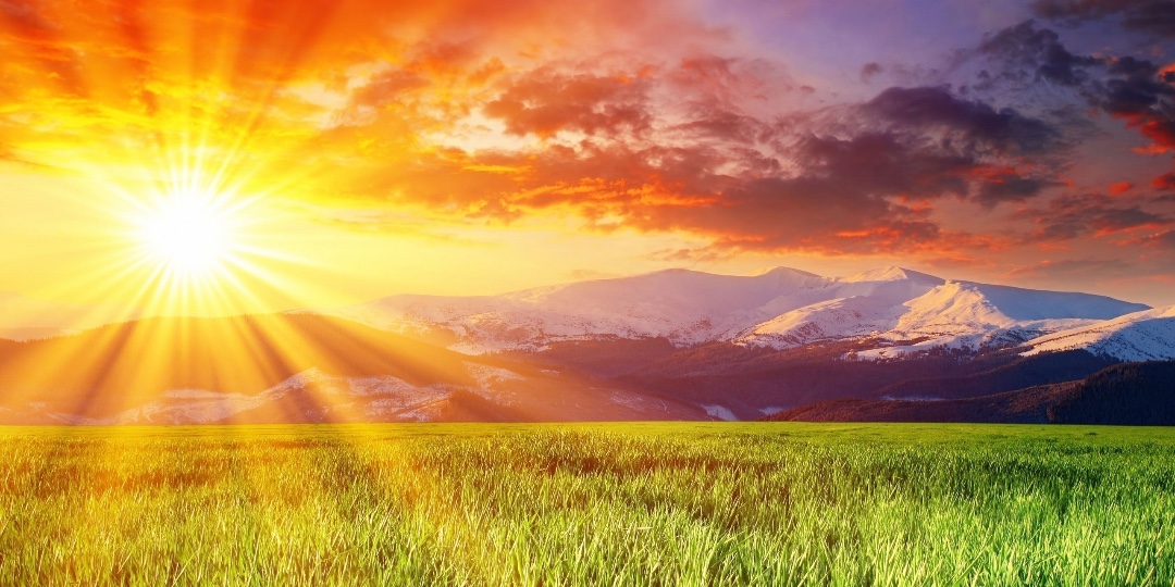 软件开源硬件开放,华为新系统免费开源