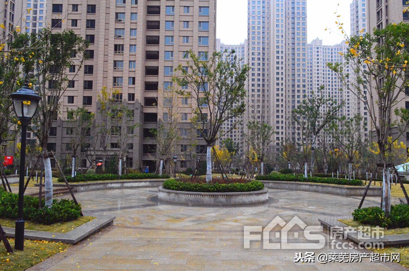 世纪城四期交房,世纪城四期最新消息