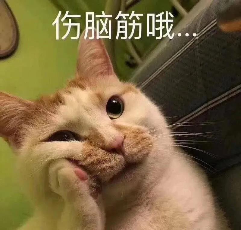 猫咪抽搐有可能是细菌导致的吗,猫咪抽搐的原因及治疗方法是什么