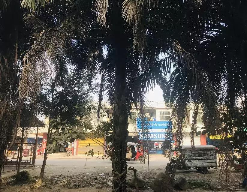 来姐告口岸体验一把非一般的跨境“网”商