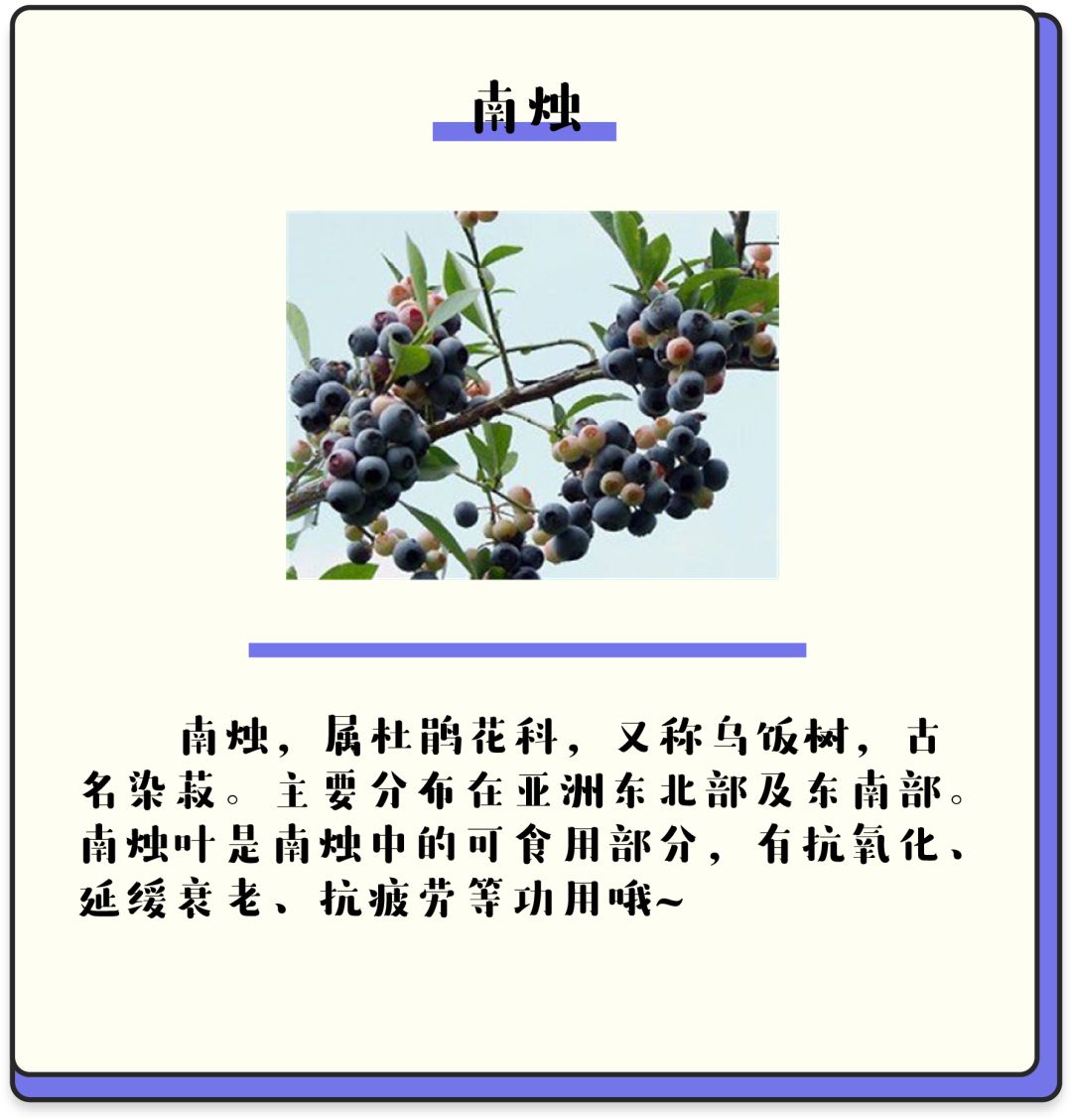 史上最强米饭：可升仙，可消灾