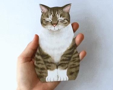 日本人又来骗猫奴们的钱啦！但我心甘情愿掏钱了！