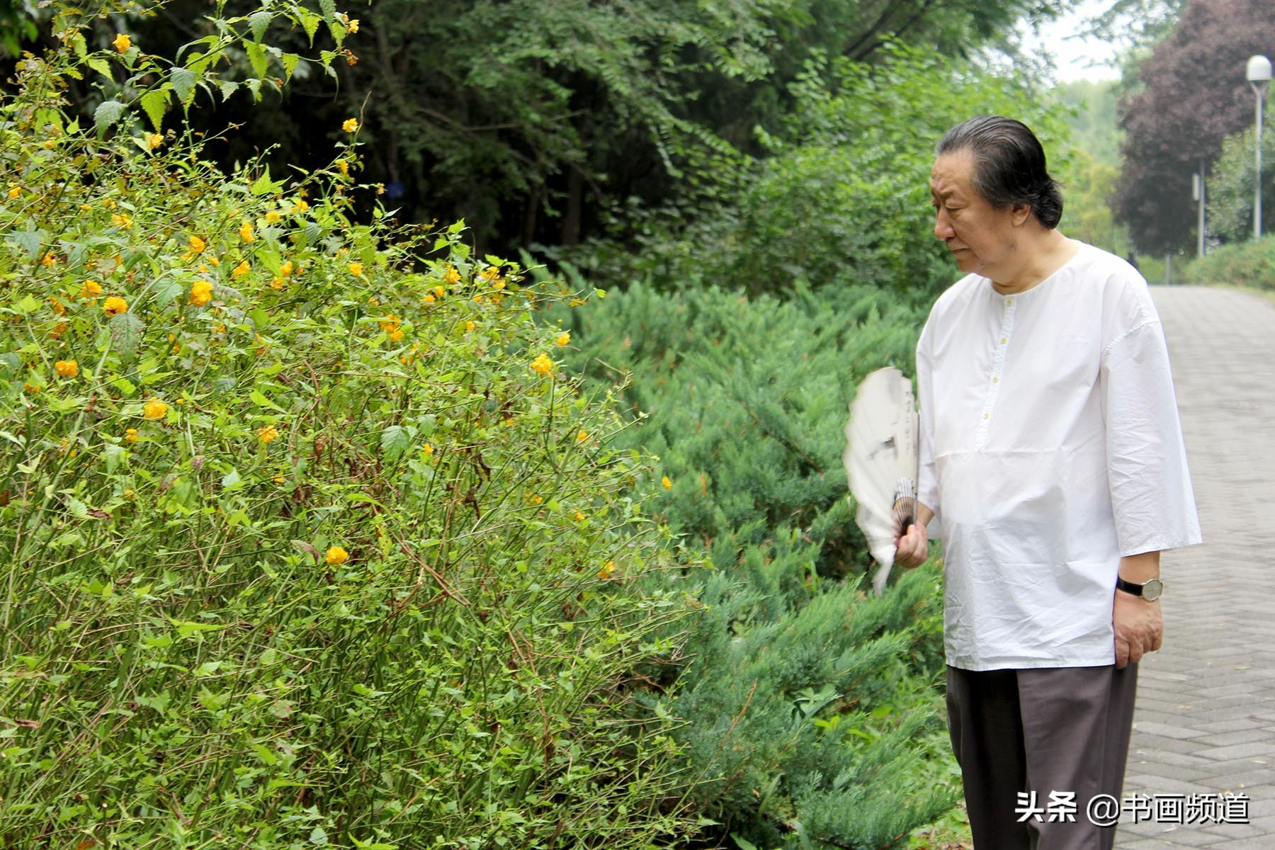 杨晓阳写意作品,杨晓阳从写实到写意