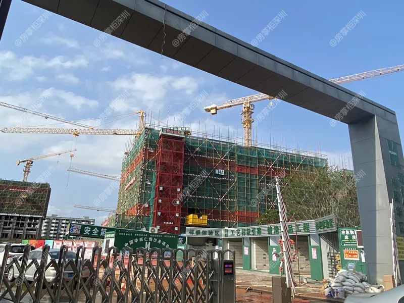 小巨蛋实测,小巨蛋48平