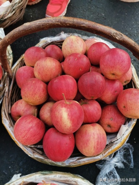 从稀罕物到大众水果——吉林地区苹果的那些往事