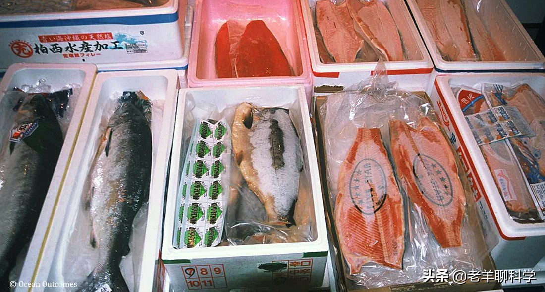 掌握朝鲜半岛的“救命鱼”，俄罗斯却拱手让中国，究竟有何企图？