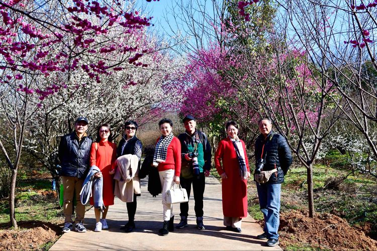 傅家边野营,走进金溪傅家村