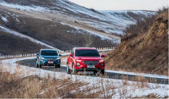 国产之光奇瑞星途汽车,国产之光海马汽车