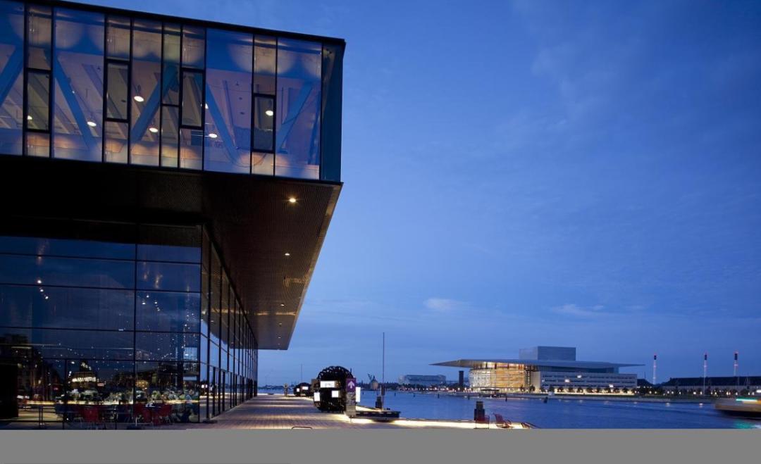 野心彻底暴露完整版,野心曝光