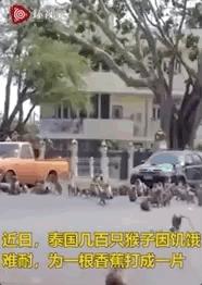 疫情还没结束需要辞职吗,疫情过后有多少人没工作了