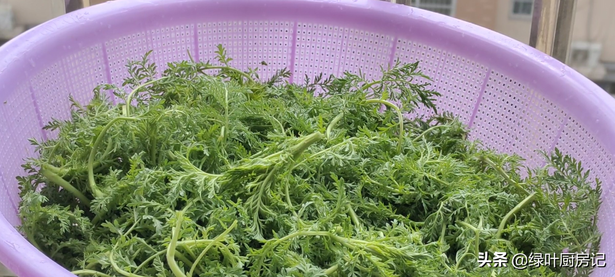 野菜米蒿的做法,野菜米米蒿蒸多长时间