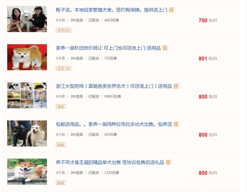 怎么防买到星期猫,如何避免在市场买到星期猫