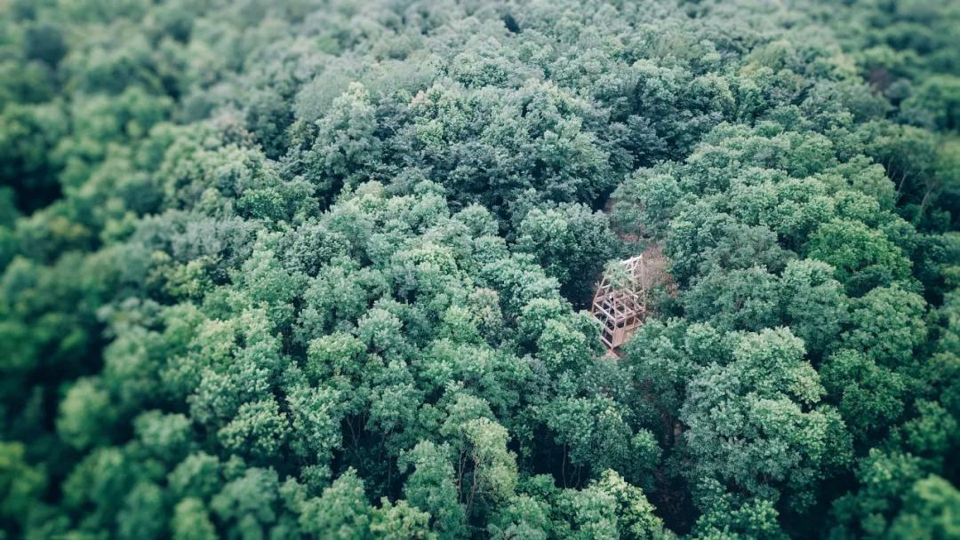 姝︽眽鏂板啝搴峰娌荤枟,姝︽眽鏂板啝娌荤枟浜虹兢鍚庣画鐢熸椿