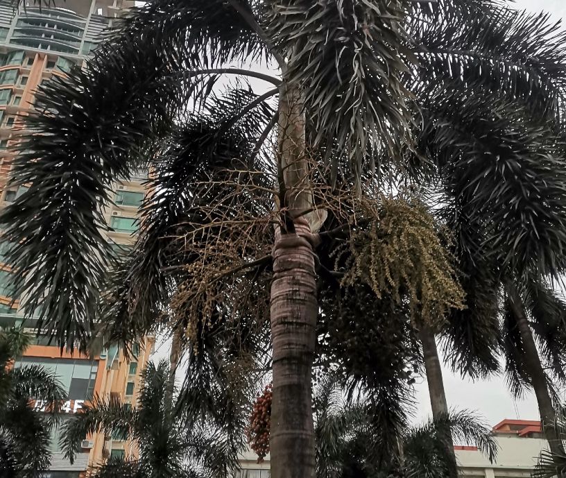 长期两地分居怎样维持夫妻感情,夫妻长期两地分居该怎么办呢