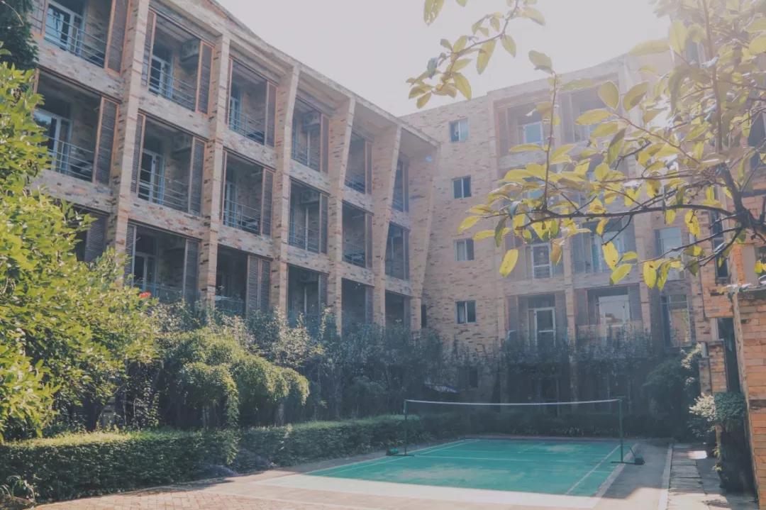 四川国际标榜学院的王牌专业,四川国际标榜职业学院网红