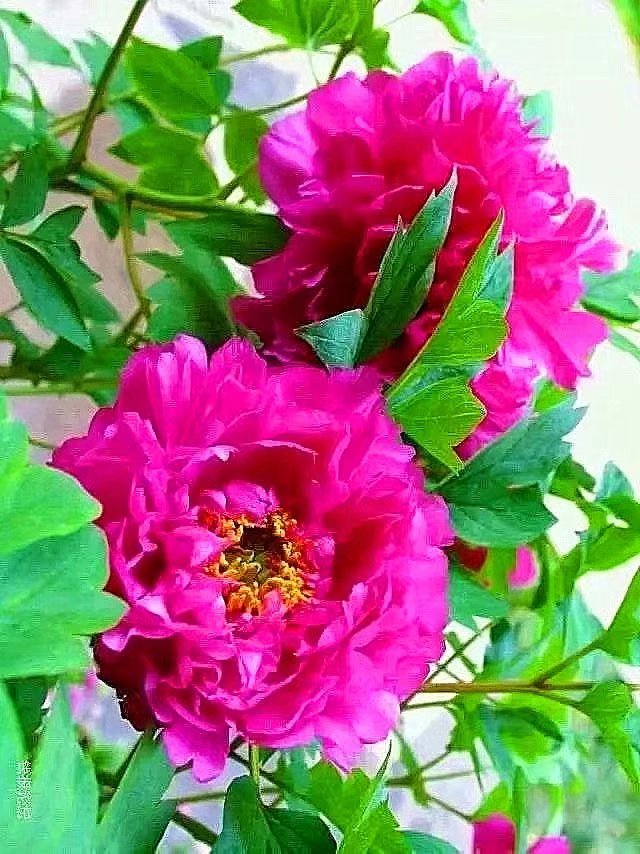 2019年快要结束的感悟,2019马上过去了