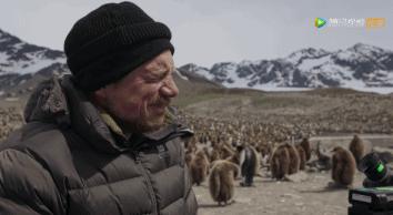 炸裂9.9，BBC再出神片，美得让人脸红