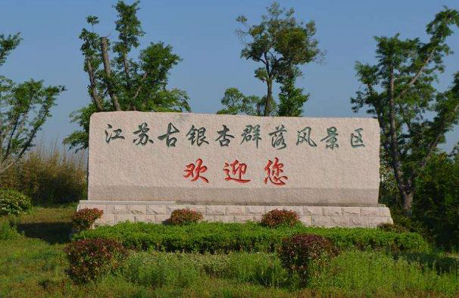 泰兴比较大的镇有哪些,江苏泰兴最大的银杏树