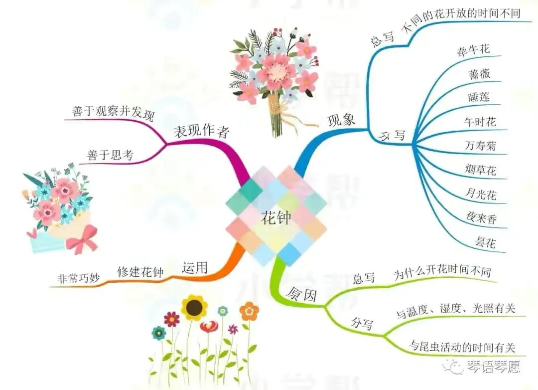 三年级语文古诗三首思维导图,三年级下册语文蜜蜂思维导图