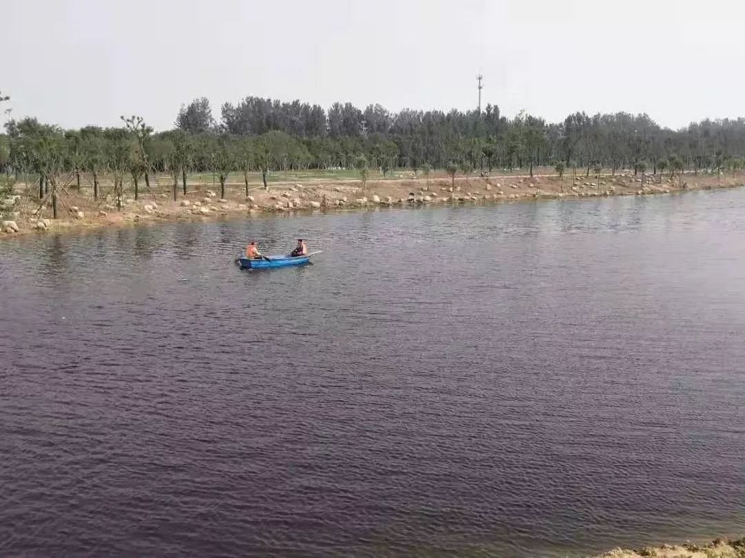 新乡南湖公园对比夏荷公园,新乡南湖公园优势