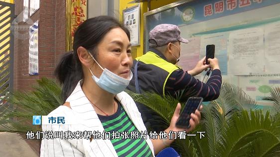 昆明西南海划片上哪个公立小学,昆明主城区281所小学划片信息