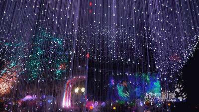 属虎,数虎图像深圳