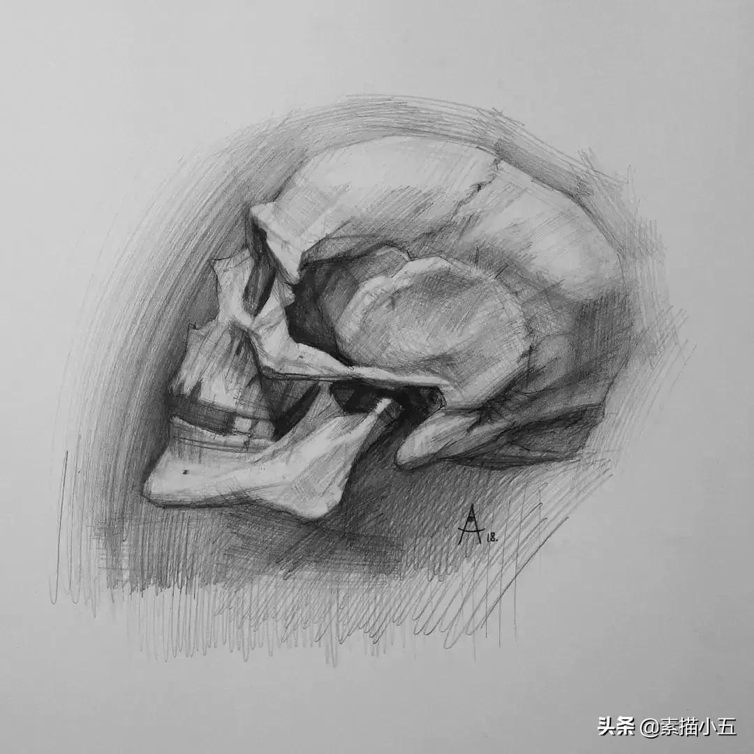 他画的素描无与伦比,他画的画栩栩如生让人拍案叫绝