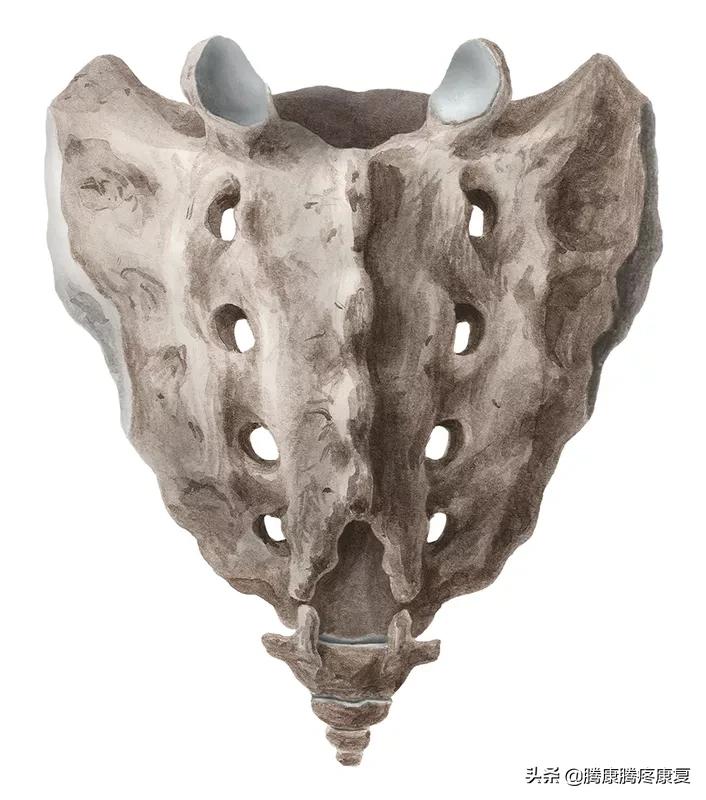 骶骨疼痛手法处理,骶骨后翘正骨手法