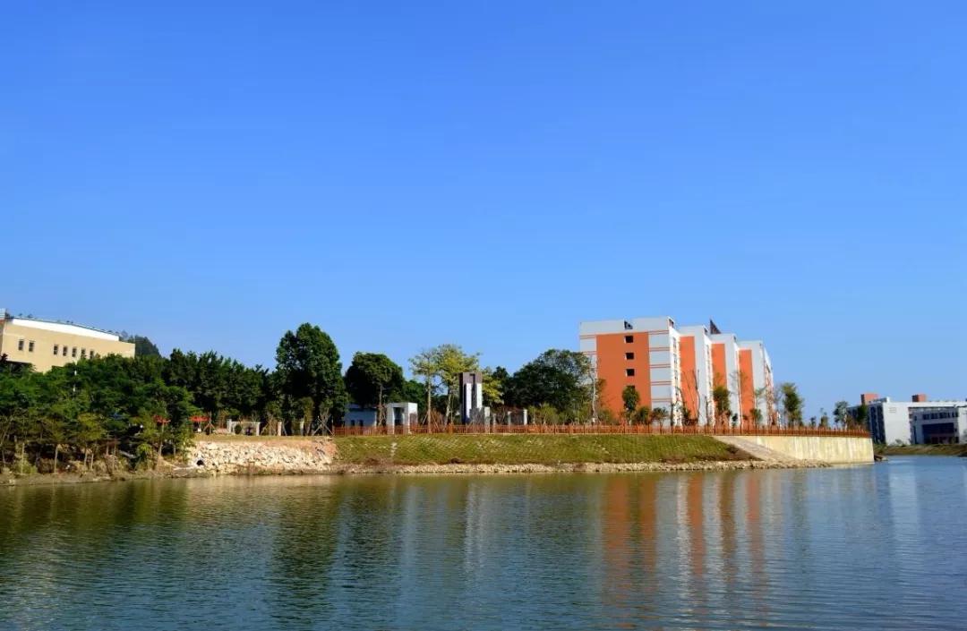 学考热门学校,学考热门专业院校