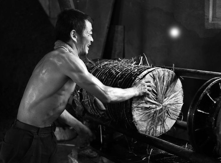 8月向日葵云海(徽州百工、黟县的朋友圈、瓷都景德镇)采风