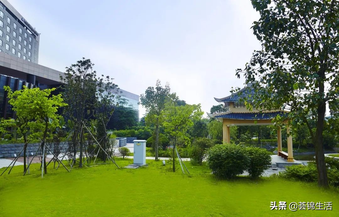 啊？日本传奇品牌酒店实力宠粉，带娃来一场暑期放肆嗨玩