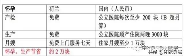 荷兰生活费用一年多少钱 (在德国养大一个孩子要多少钱)