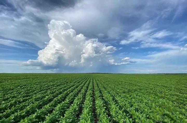用钱去做农业会怎样,去农村搞种植业投资怎样做最好