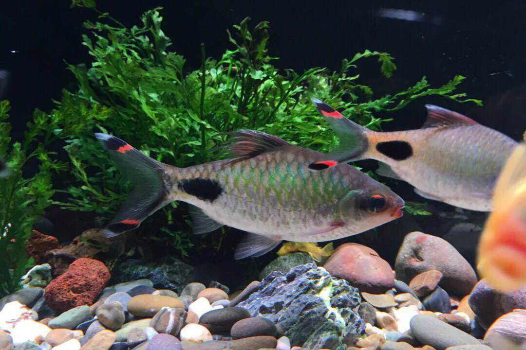 自测水质的正确方法,怎么测水质最好的方法