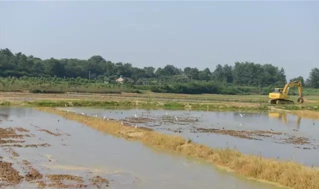 南京市政协委员钱明洁:推广有机食品,苦中有乐,苦中有德