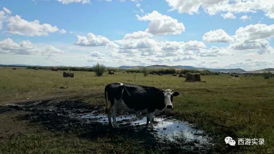 自驾穿越环球旅行,自驾环球旅行第一国