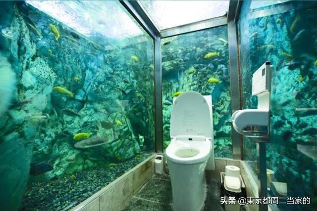日本马桶真的很好用吗,日本马桶和国产马桶的区别