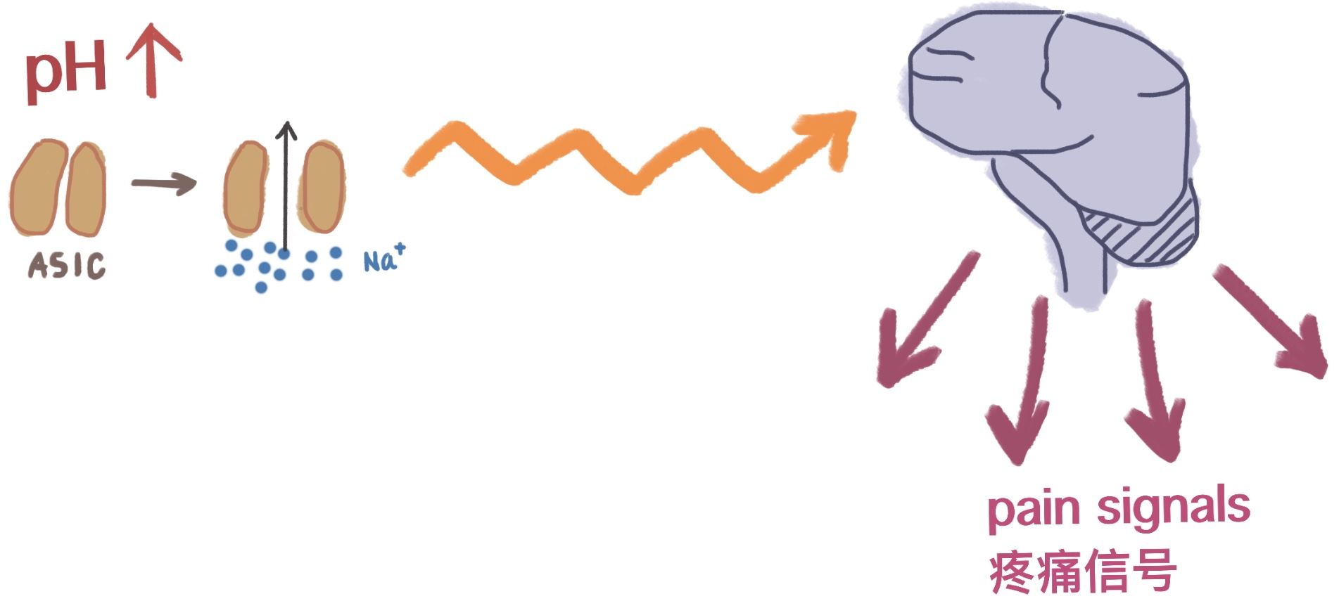 神经毒素到底有多可怕,vx2神经毒素的杀伤力