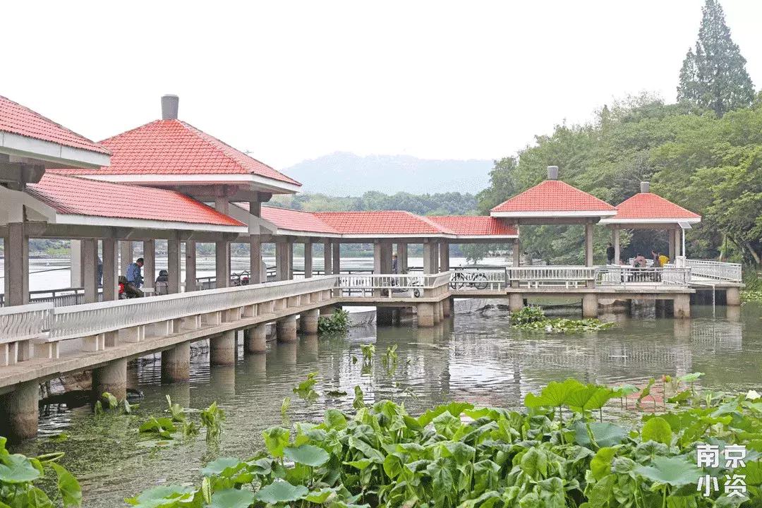 南京市区老城区攻略,南京各区吵架视频