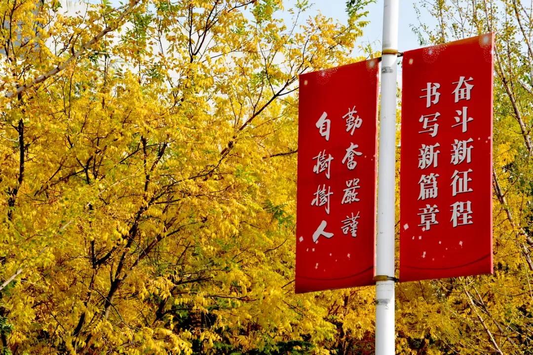 天津市普通高等院校,天津师范高等专科学校