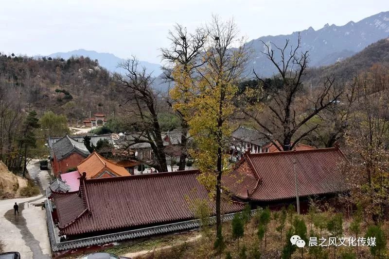 鲁山文殊寺,云雾缭绕人间仙境的寺庙大佛