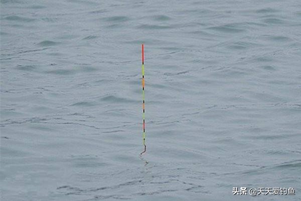 浮漂漂身长短有什么区别野钓,浮漂漂尾和漂脚的比例